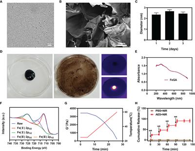 An Injectable Hydrogel for Enhanced FeGA-Based Chemodynamic Therapy by Increasing Intracellular Acidity